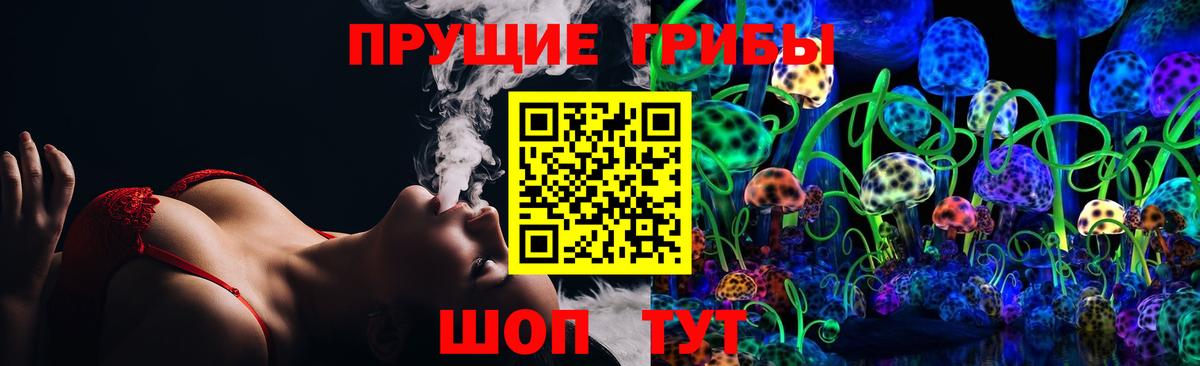 Галлюциногенные грибы Psilocybine cubensis Мытищи